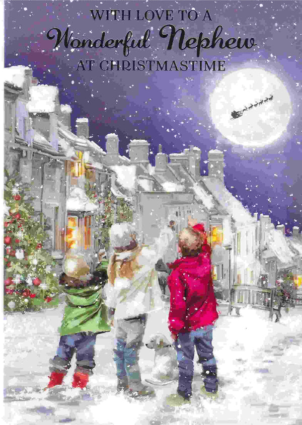 Christmas Card - With Love To A Wonderful Nephew